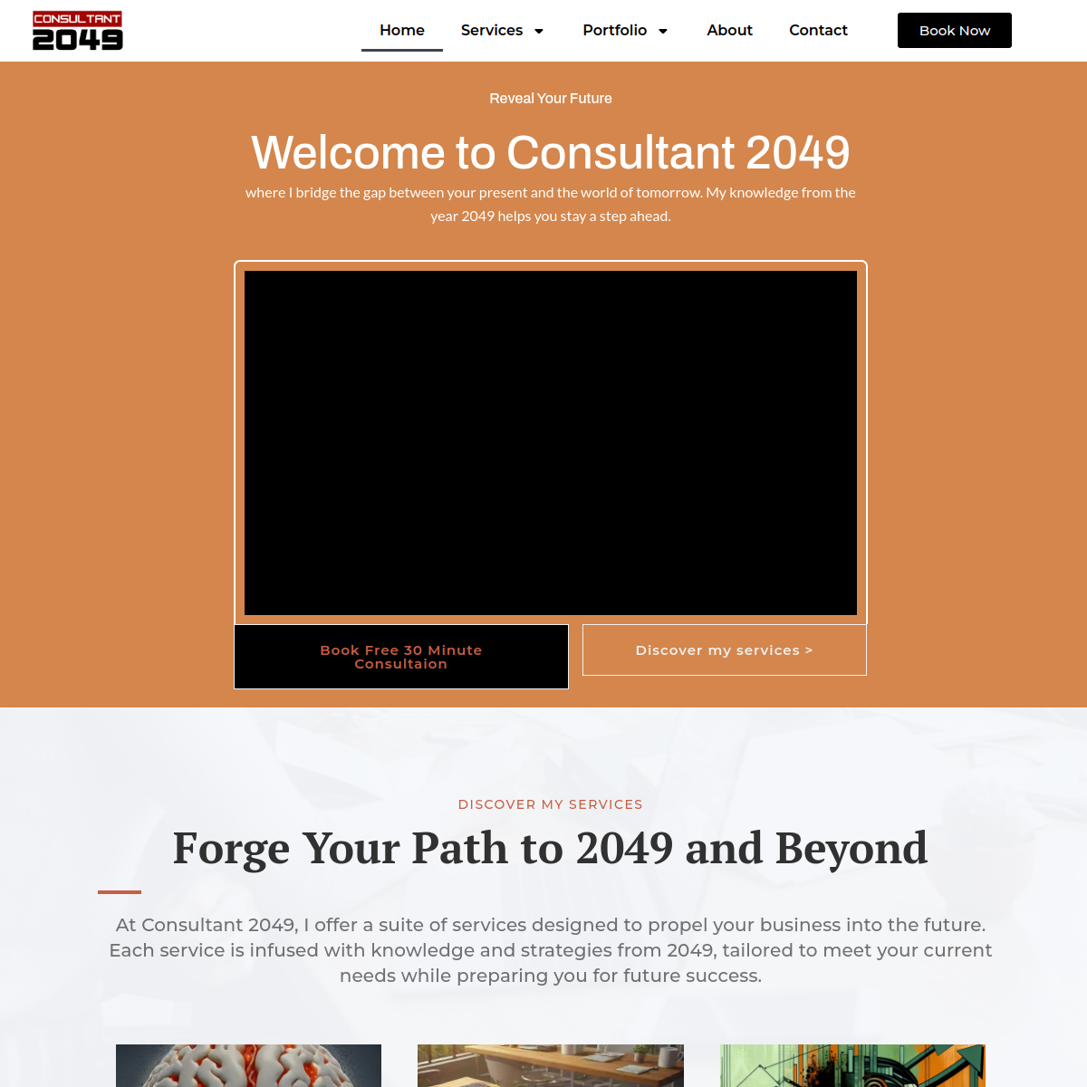 Consultant 2049 website preview